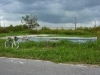 bike_line
